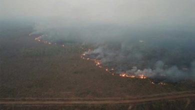 Foto - Amazonas es devorada por las llamas