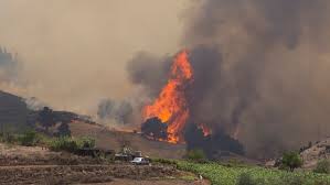 Foto - Islas Canarias: 4.000 personas fueron evacuados tras incendio