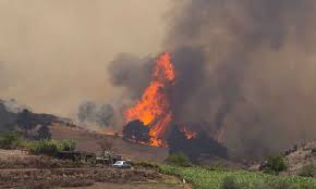 Foto - Incendio en las Islas Canarias disminuye