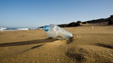 Foto - Ley prohíbe uso de plásticos en Miami Beach