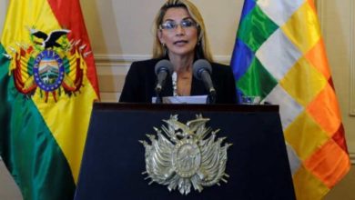 Foto - Áñez podría convocar elecciones vía decreto