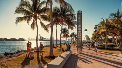 Foto - Miami beach comienza a reabrir sus parques