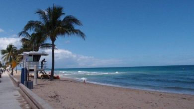 Foto - Miami-dade anuncia reapertura de playas
