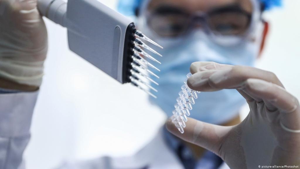 Foto - Argentina usará suero equino para tratar a pacientes con Covid-19