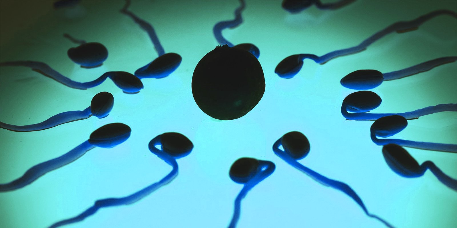 Menos Espermatozoides.