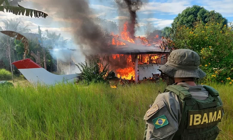 Redadas en la selva de Brasil.