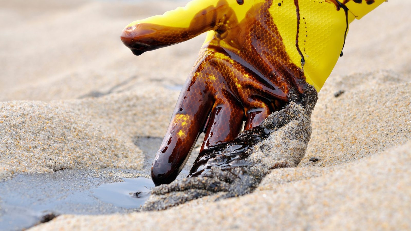 Penalización del ecocidio.