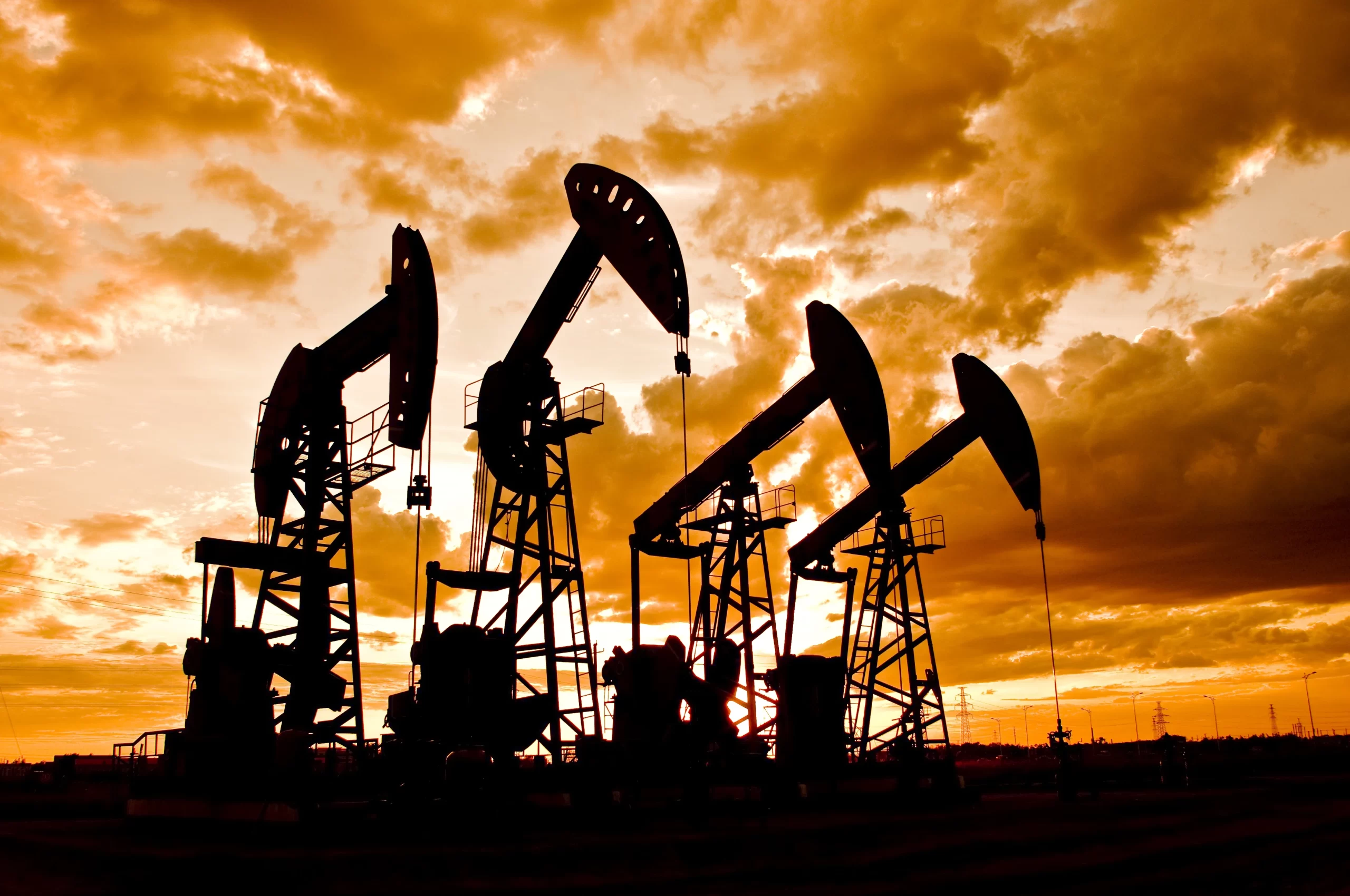 En tan sólo 10 meses.