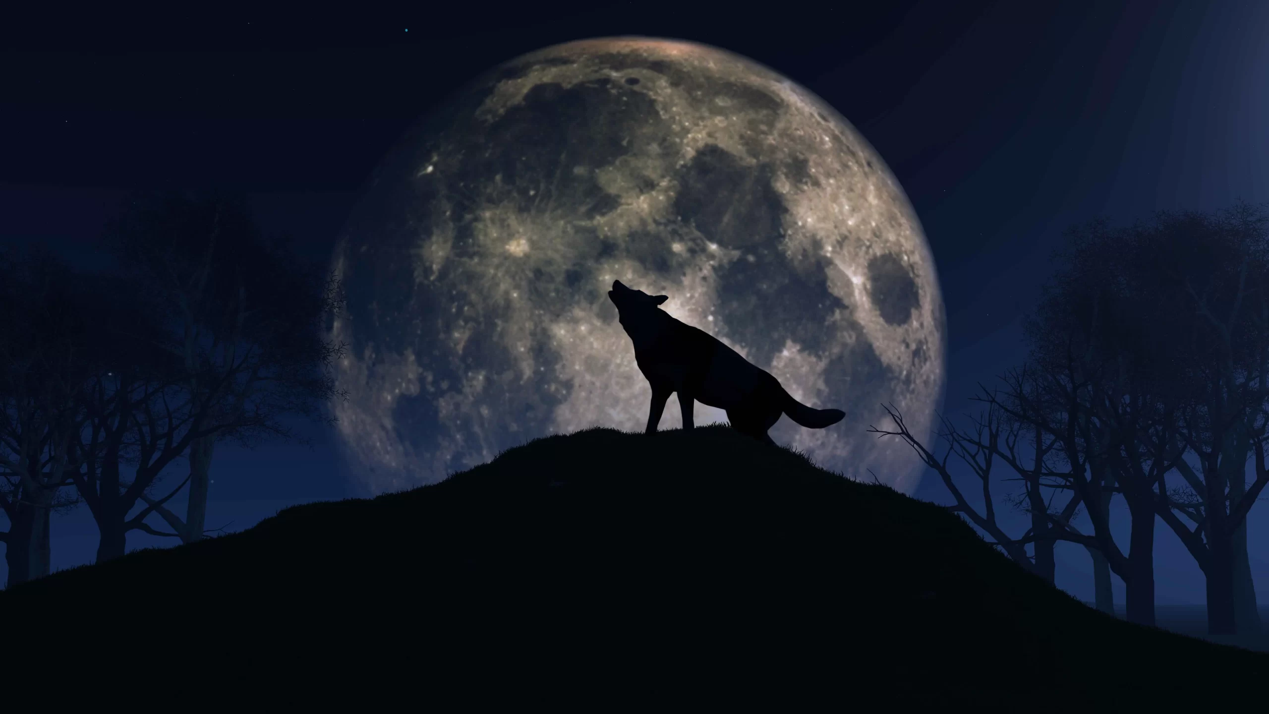 Hoy saldrá la luna del Lobo.